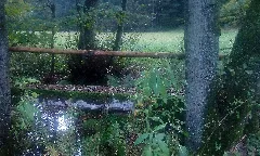 Dreisteg Bei Scheringen