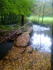 Dreisteg Bei Scheringen 2