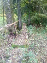 Dreisteg Bei Scheringen 4