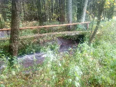 Dreisteg Bei Scheringen 5