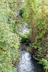 Dsc01473 Fischtreppe Oker Bei Meinersen
