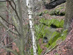 Dscn3502 Panoramio