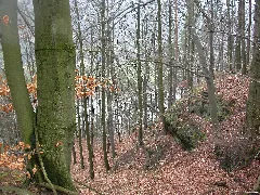 Dscn3504 Panoramio