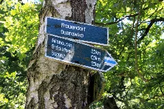 Dubrawka (Kopańce) 3