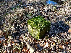 Duebener Heide Forstabteilungsstein (146)