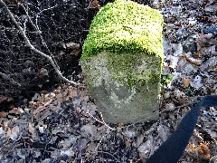 Duebener Heide Saechsischer Forstgrenzstein (307)
