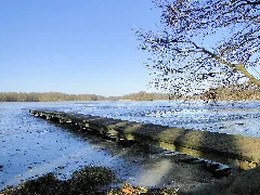 Dümmer Dümmersee 2012 02 15 004
