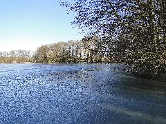 Dümmer Dümmersee 2012 02 15 006