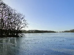 Dümmer Dümmersee 2012 02 15 008