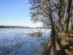 Dümmer Dümmersee 2012 02 15 016