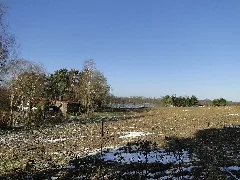 Dümmer Dümmersee 2012 02 15 023