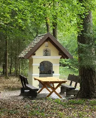 Dürnbucher Forst Mühlhausen Neustadt Donau Lkr Kelheim Niederbayern Waldkapelle