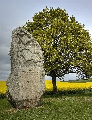 Dürnkrut Feld