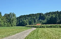 Dürre Ager Valley Near Brandham