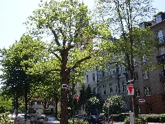 Düsseldorf Unterbilk Florastr
