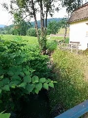 Dultbach, Dult 2