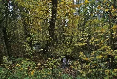 Duvenstedt Diekbek