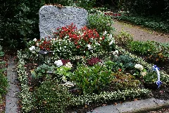 E.hamann