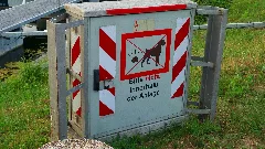 Each Dog Will Be Killed By Lightning Panoramio