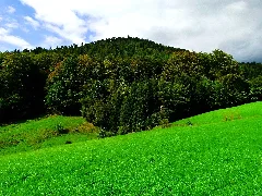 Early Autumn In Southwest Germany Panoramio