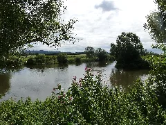 Edermündung