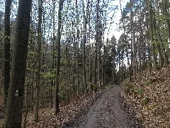 Ederseeweg Märchenlandweg