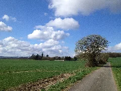 Ederseeweg Netzer Tiergarten (1)