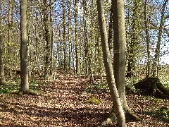 Ederseeweg Netzer Tiergarten (2)