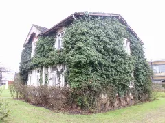 Efeu Frisst Haus Panoramio Arnold Schott