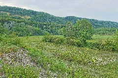 Efringen Kirchen Naturschutzgebiet Blansinger Grien Bild 6
