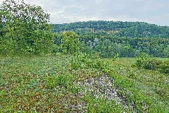 Efringen Kirchen Naturschutzgebiet Blansinger Grien Bild 7