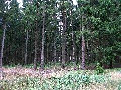 Egge, 1, Bonenburg, Warburg, Landkreis Höxter