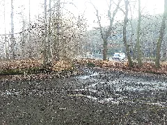 Ehem. Turmhügelburg Schönfels 1
