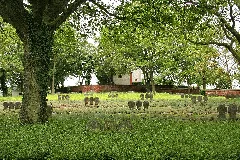 Ehrenfriedhof Kastel Staadt
