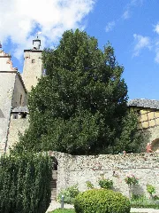 Eibe, 1, Burg, Kronberg Im Taunus, Hochtaunuskreis