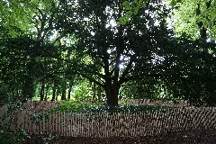 Eibe Klosterpark 5592