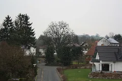Eiche Am Giebelrainer Weg In Weyhers 03