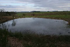 Eichholzmaar