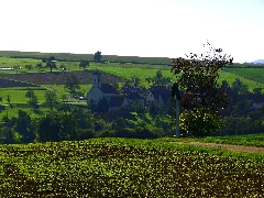 Eigeltingen Panoramio (1)
