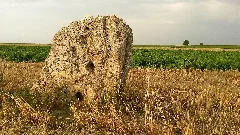 Einselthum, Der "Lange Stein", Westseite