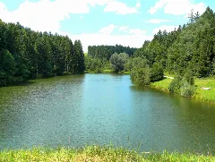 Eisenbachsee 01