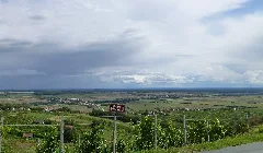 Eisenberg An Der Pinka Landscape Towards Hungary 50364