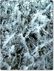 Eiskristalle 24.12.2007 Panoramio