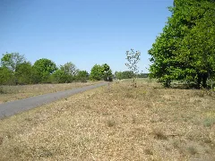 Elbe Meadows Near Elster Village. Panoramio