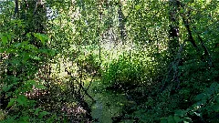 Elfmorgenbruch Lsg Bw Ka B