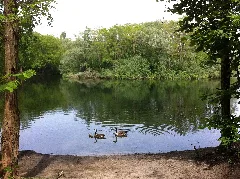 Ellerstadter Weiher 01