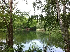 Ellerstadter Weiher 02