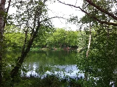 Ellerstadter Weiher 03