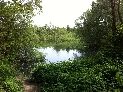 Ellerstadter Weiher 04
