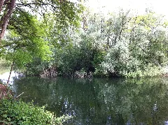Ellerstadter Weiher 05